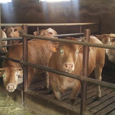 Agriturismo Ca' Del Gal Valeggio sul Mincio Kültér fotó