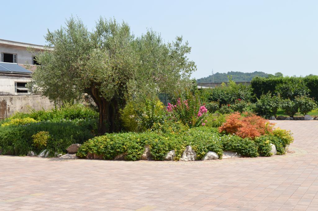 Agriturismo Ca' Del Gal Valeggio sul Mincio Kültér fotó