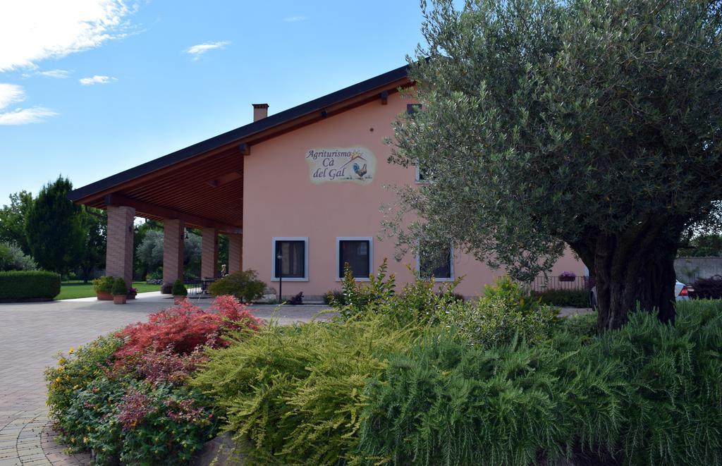 Agriturismo Ca' Del Gal Valeggio sul Mincio Kültér fotó