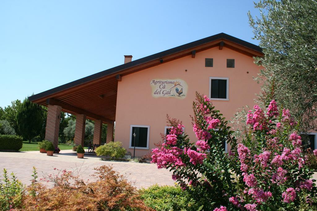 Agriturismo Ca' Del Gal Valeggio sul Mincio Kültér fotó